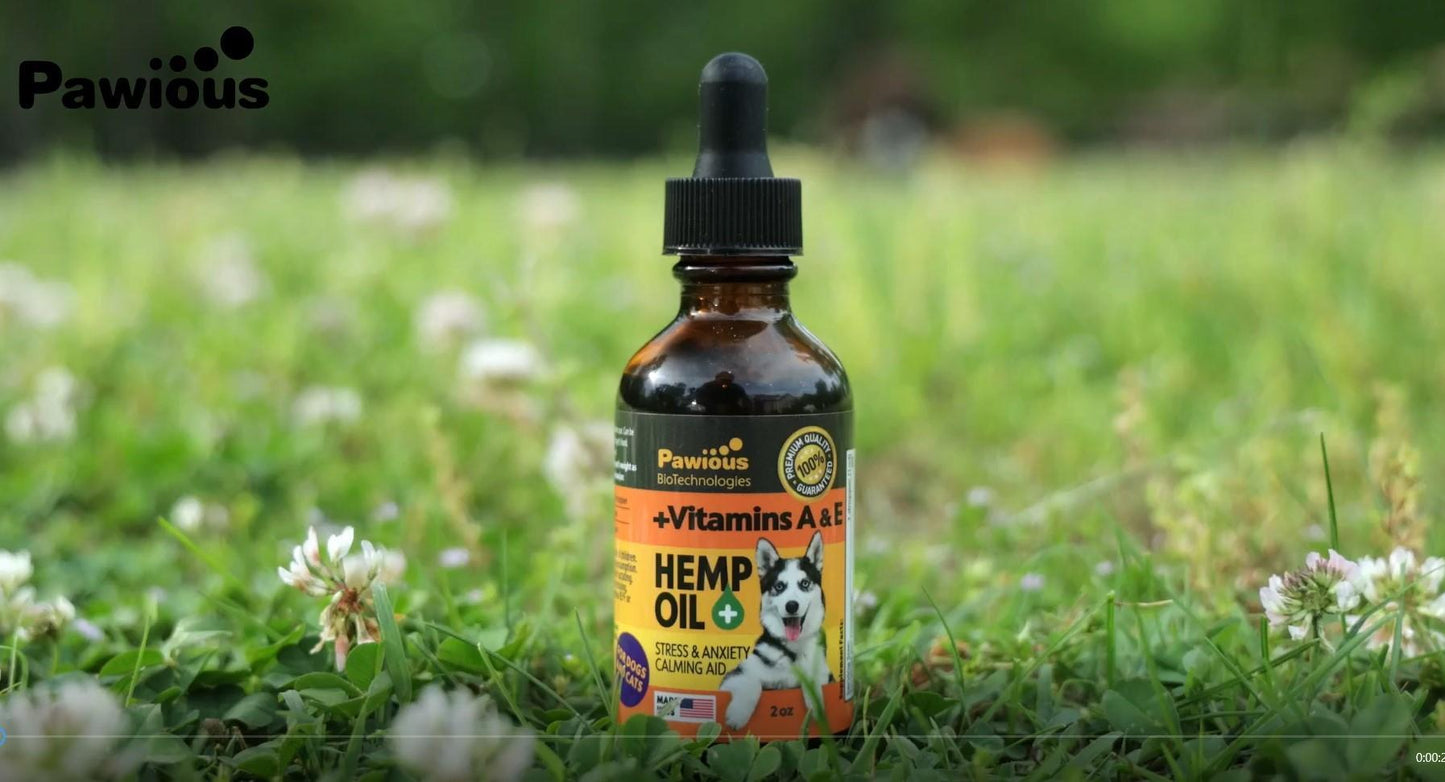 Hemp Oil for Dogs & Cats   Large 2oz Bottle Made in USA   Joint Pain and