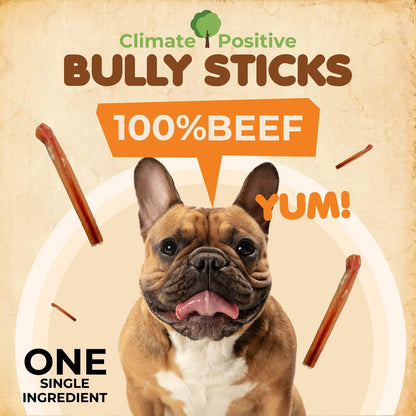 Bully Sticks 100% Natural Beef Dog Chews 6” Premium Quality Healthy Dog Treats