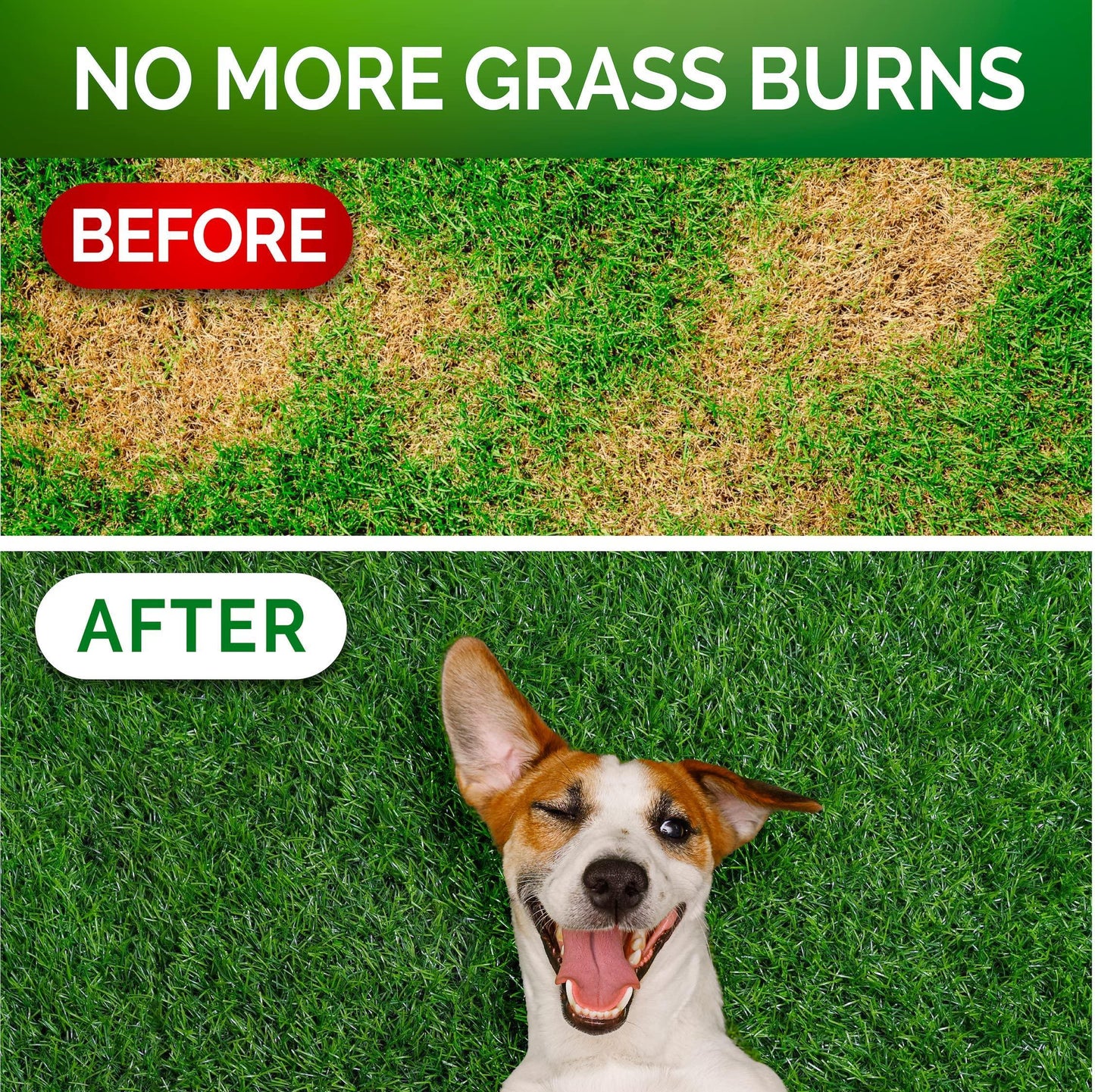 Grass Burn Spot Chews for Dogs   Dog Urine Neutralizer for Lawn   120 Grass