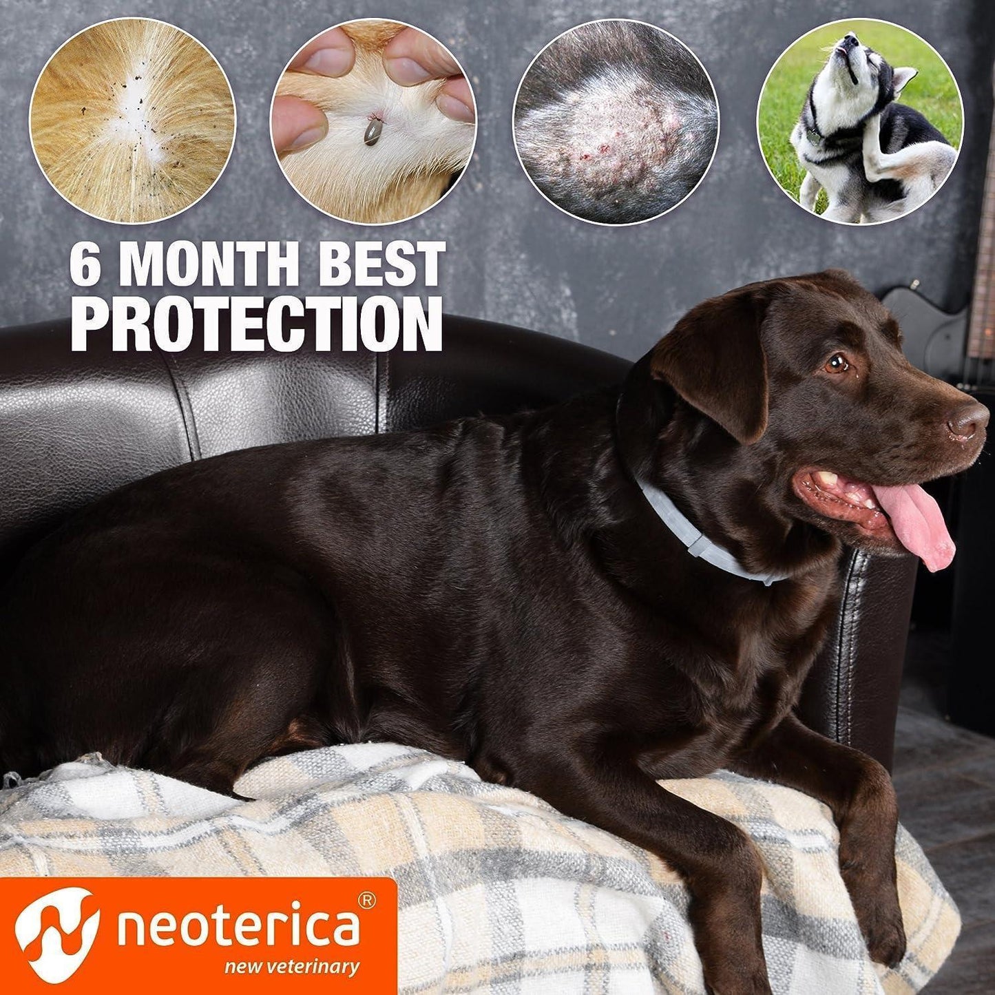 Natural Flea & Tick Collar for Dogs   6 Months Control of Best Prevention &