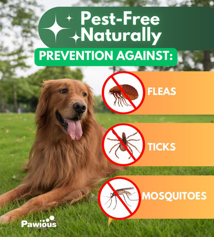 Flea and Tick Prevention for Dogs Chewables   Natural Dog Flea and Tick Control