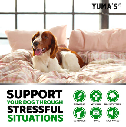 YUMA'S Hemp Calming Chews for Dogs   Advanced Dog Calming Treats   Dog Calming