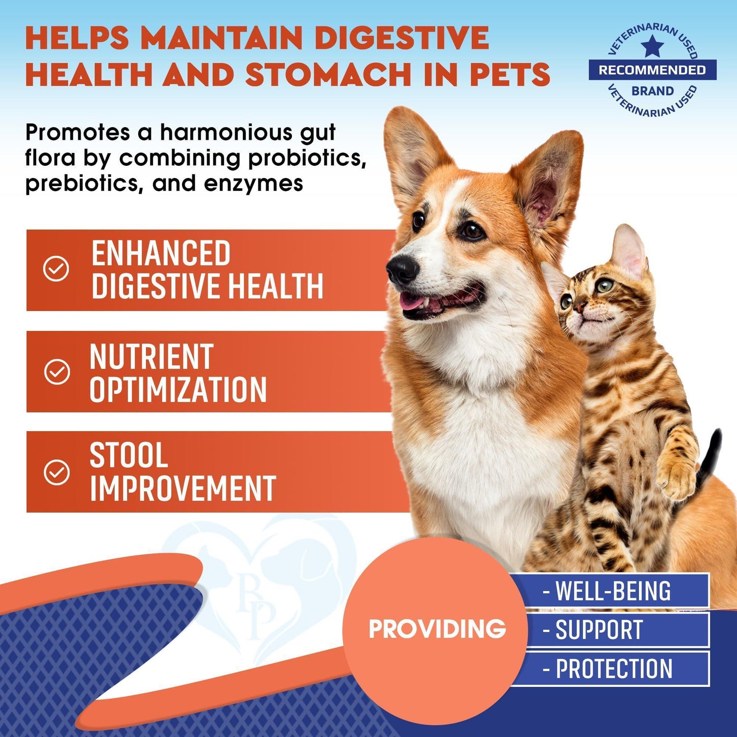 Probiotics & Prebiotics with Enzymes for Dogs and Cats   Digestive Gut Flora