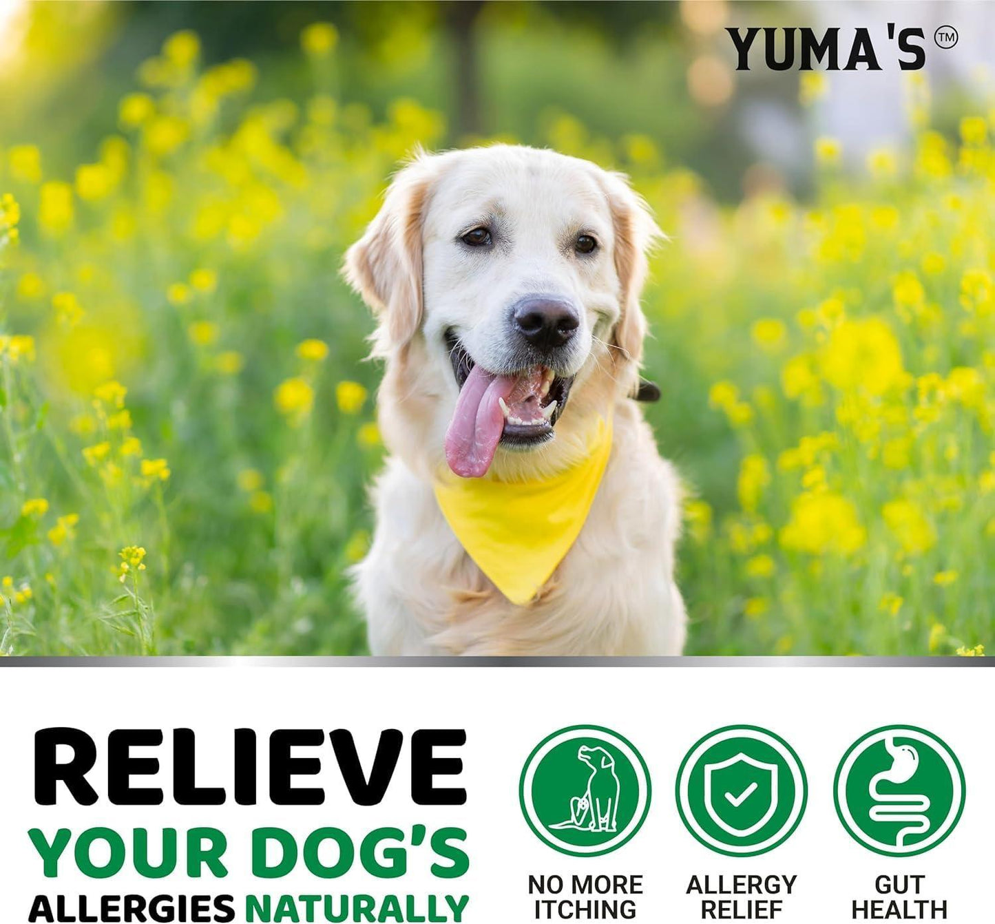 YUMA'S 2 Pack Dog Allergy Relief Chews   Dog Itching Skin Relief Treatment