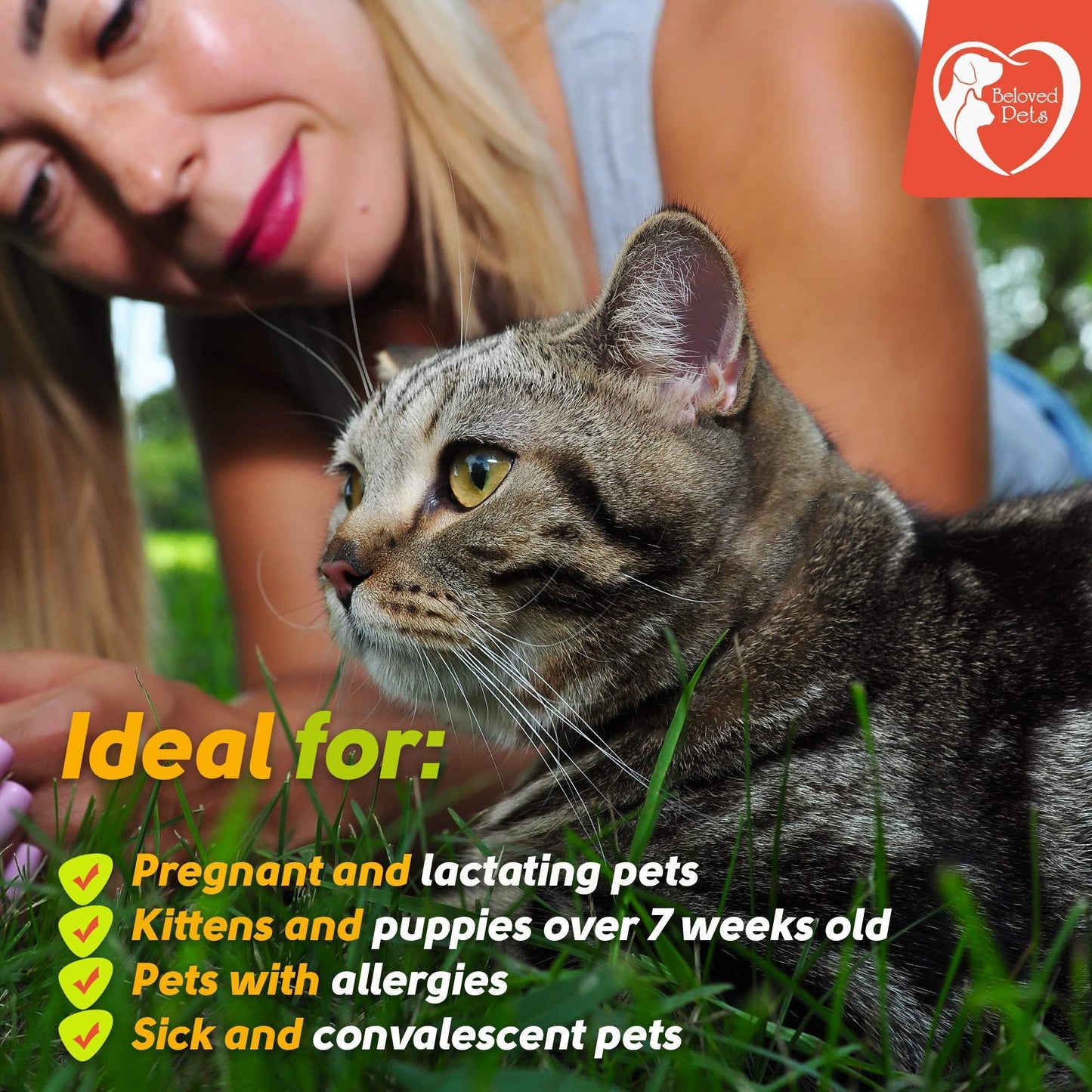 Flea and Tick Prevention for Dogs & Cats Rabbits   Natural Flea Treatment &