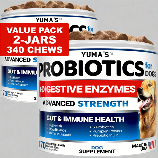 2 Pack Probiotics for Dogs and Digestive Enzymes   Dog Probiotics Chews   Dog