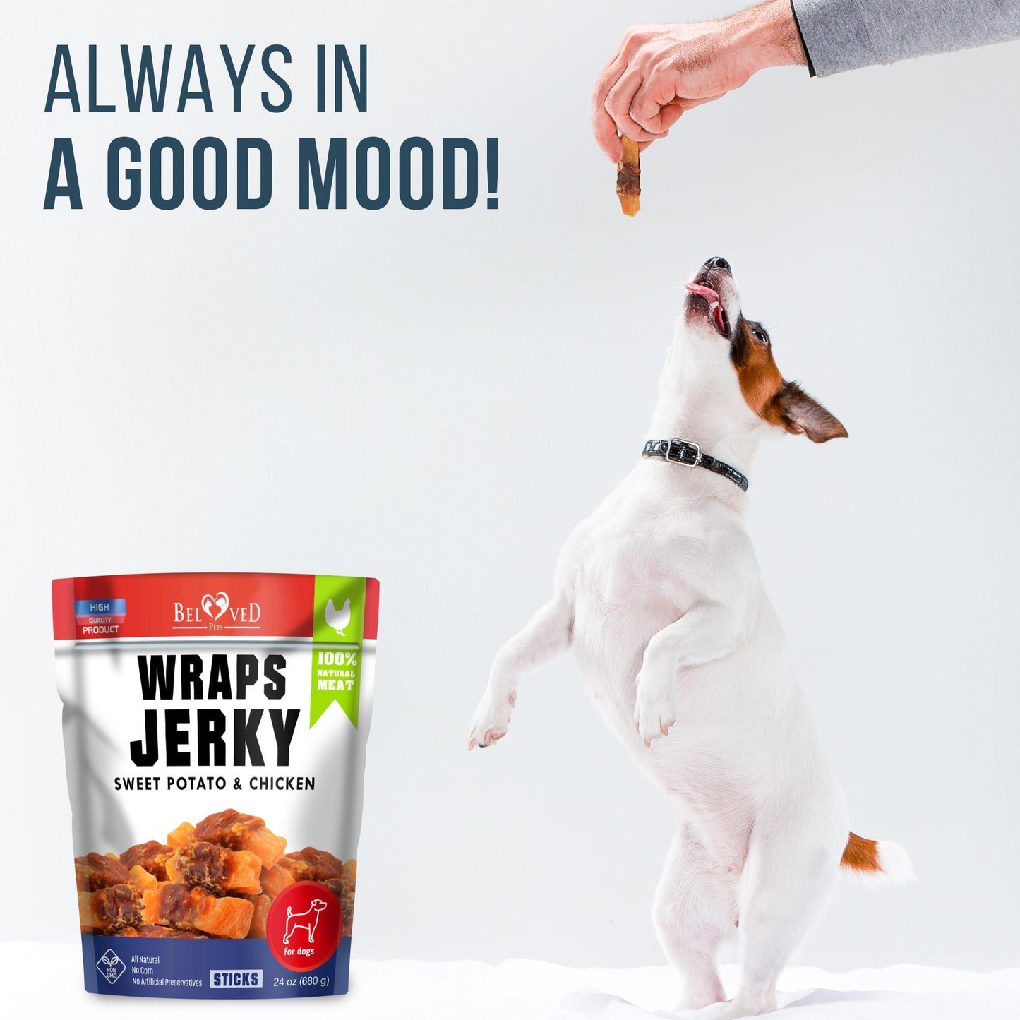 Chicken Jerky Dog Treats Human Grade   Grain Free Organic Meat   All Natural