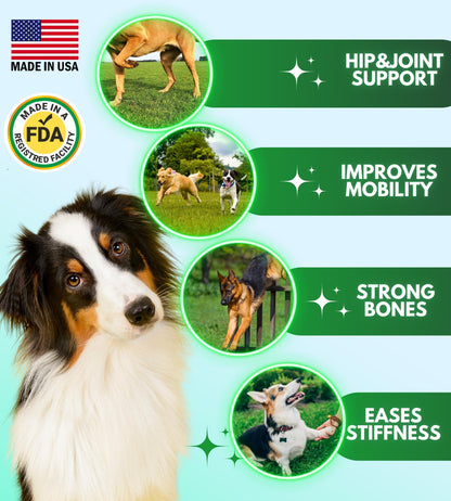 Pawious Hip and Joint Supplement for Dogs   Glucosamine for Dogs   Dog Joint