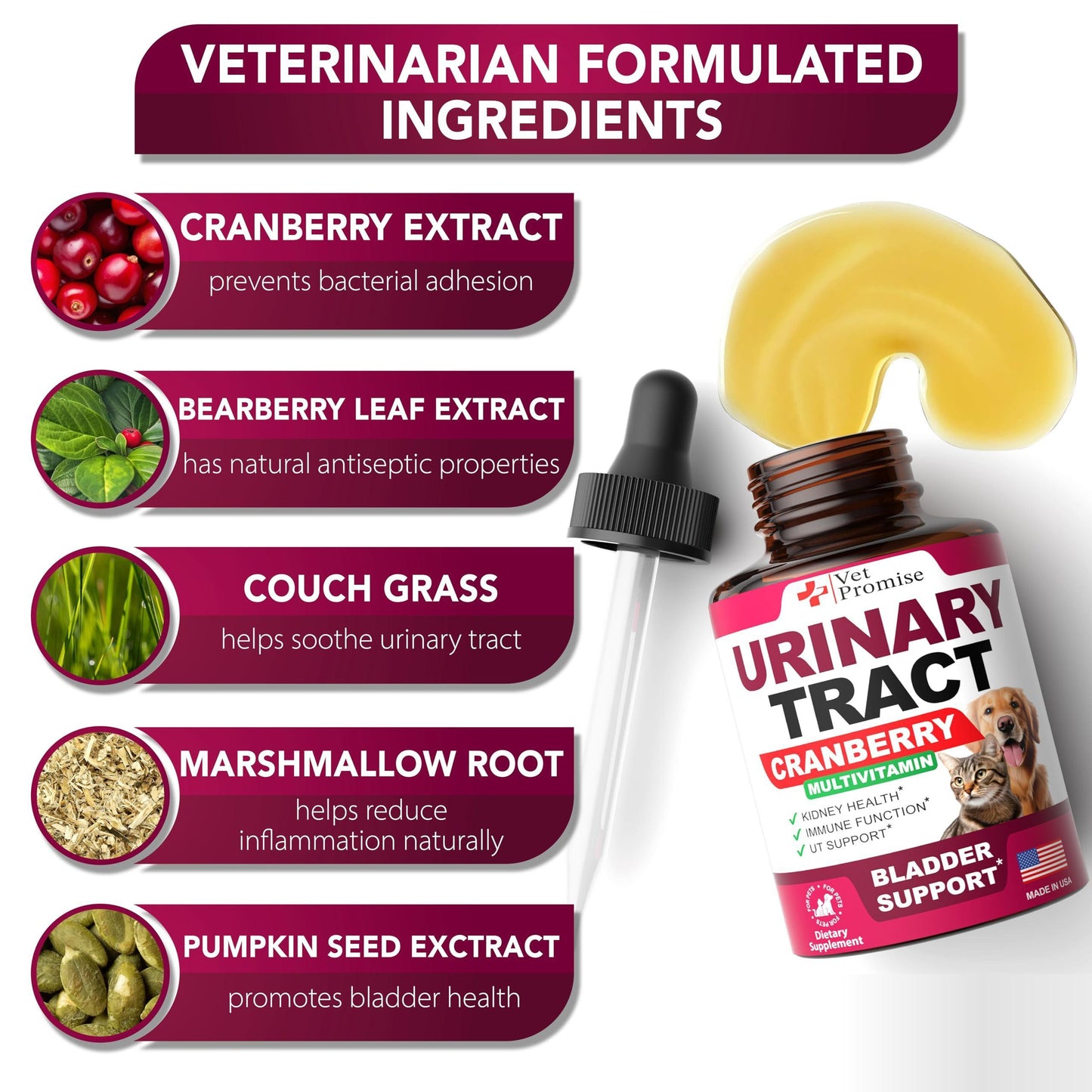 Natural UTI Drops for Cats & Dogs with Cranberry   Advanced Bladder & Kidney