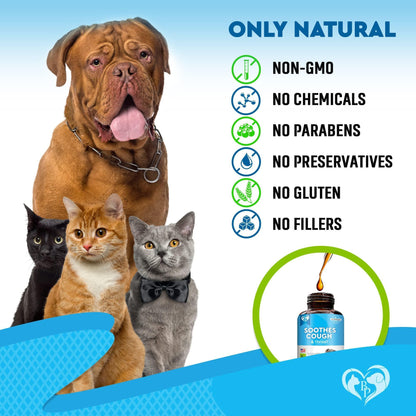 Kennel Cough Treatment & Natural Infection Medicine for Dogs & Cats