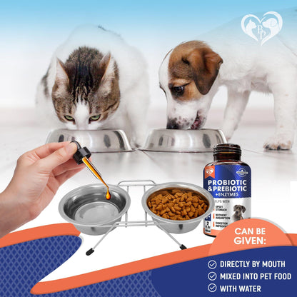 Probiotics & Prebiotics with Enzymes for Dogs and Cats   Digestive Gut Flora