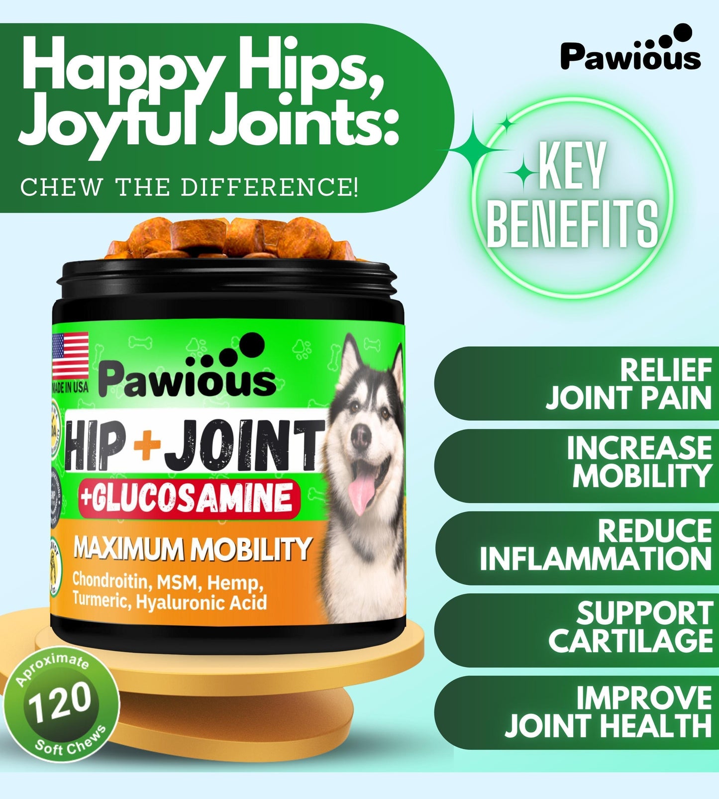 Pawious Hip and Joint Supplement for Dogs   Glucosamine for Dogs   Dog Joint