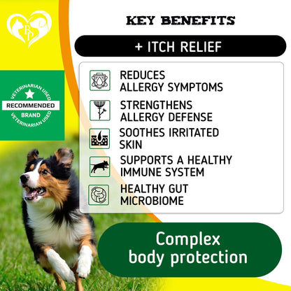 Dog Anti Itch & Allergy Relief Chews   Dry Itchy Skin & Hot Spot Treatment with