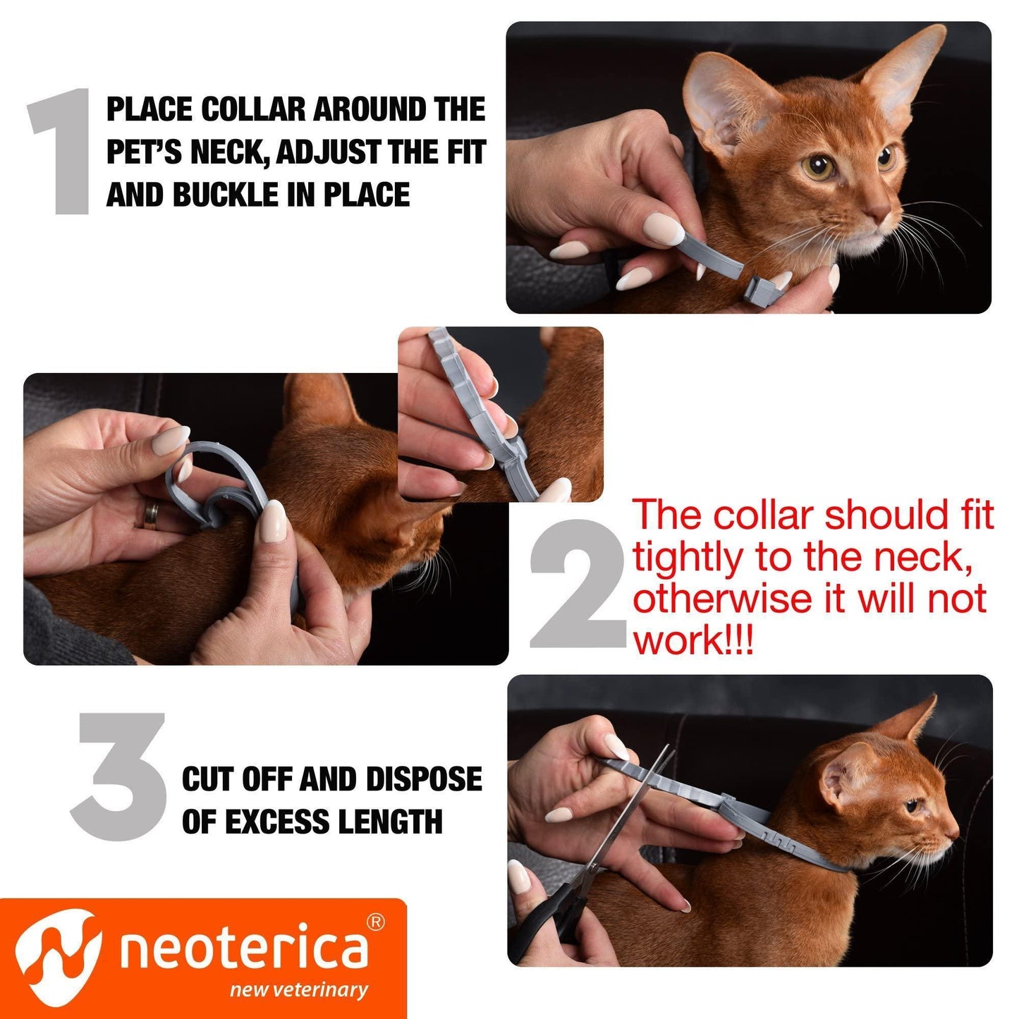 Natural Flea & Tick Collar for Cats   12 Months Control of Best Prevention &