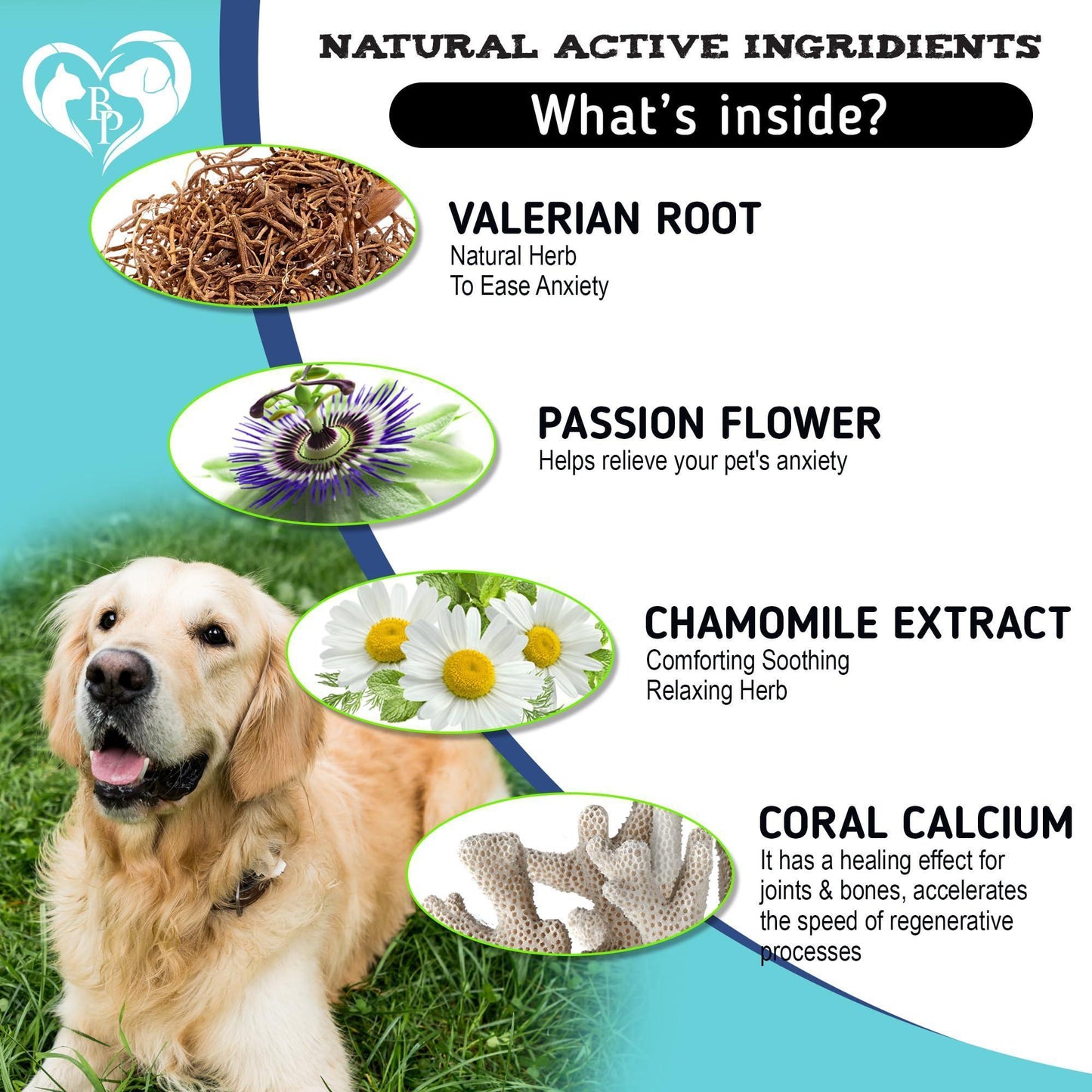 Hemp Calming Chews for Dogs & Puppy Pet Separation Anxiety Relief Treats & Calm