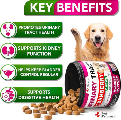 Dog UTI Treatment  Cranberry Supplement for Dogs UTI  Bladder Control for Dogs