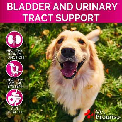 Dog UTI Treatment  Cranberry Supplement for Dogs UTI  Bladder Control for Dogs