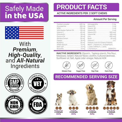 (2 Pack) Multivitamin Treats for Dogs   Made in USA