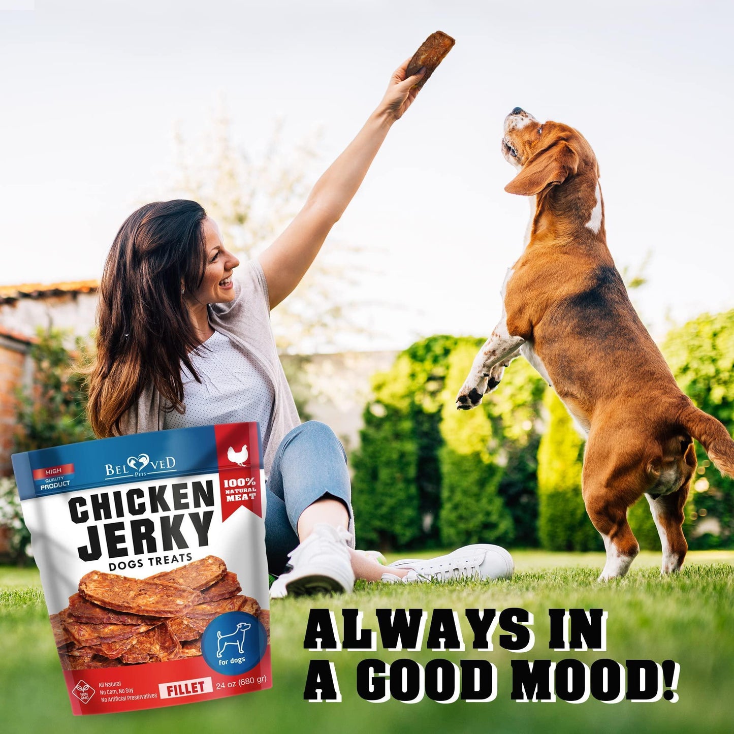 Chicken Jerky Dog Treats 1.5 Lb   Human Grade Pet Snacks & Grain Free Organic