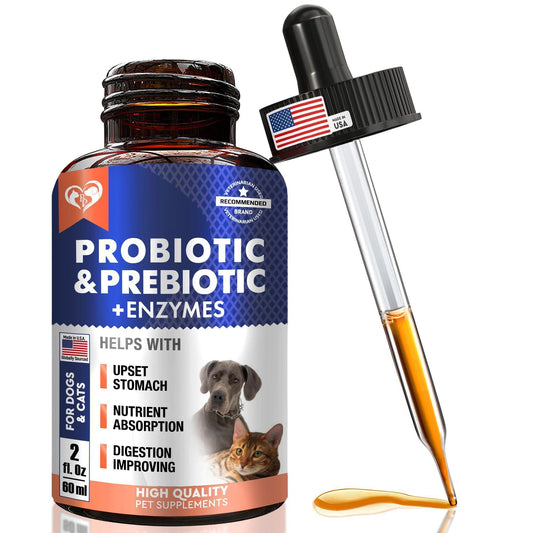 Probiotics & Prebiotics with Enzymes for Dogs and Cats   Digestive Gut Flora