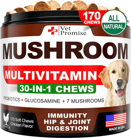 Mushroom for Dogs  170 Chews  Turkey Tail Mushroom for Dogs  Mushroom