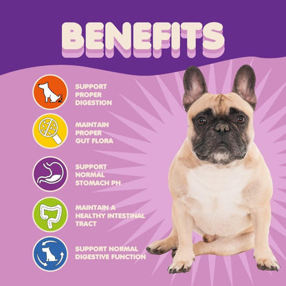 Probiotics for Dogs & Puppies–Extra Strength 9 Species 5 Billion CFU per Scoop