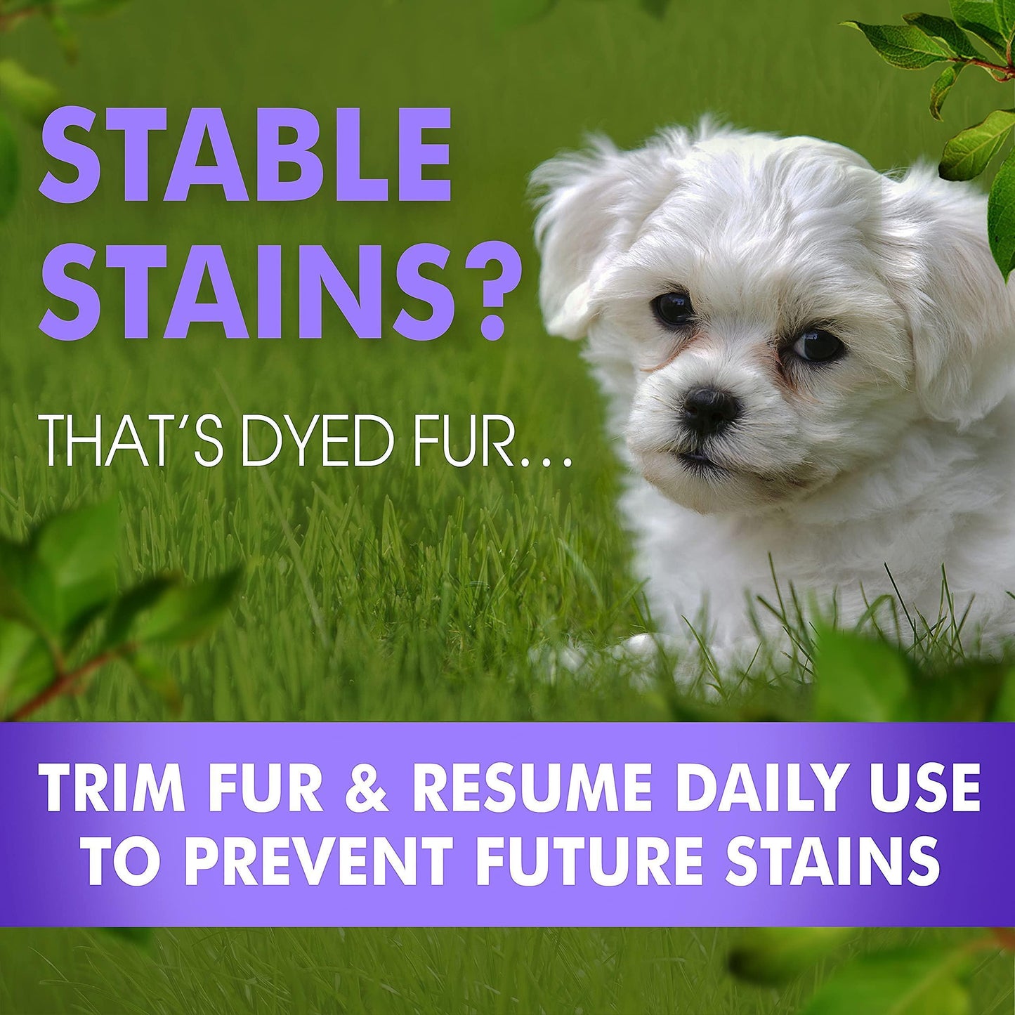 Arava   Tear Stain Remover   Eye Stain Cleaner for Dogs & Cats   Natural