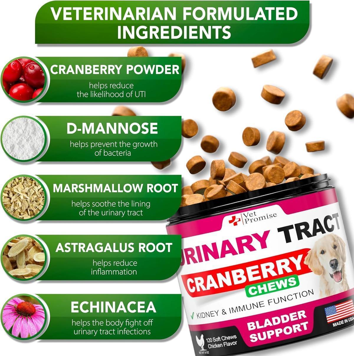 Dog UTI Treatment  Cranberry Supplement for Dogs UTI  Bladder Control for Dogs