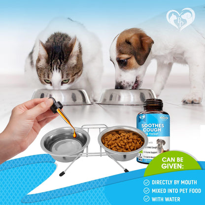 Kennel Cough Treatment & Natural Infection Medicine for Dogs & Cats