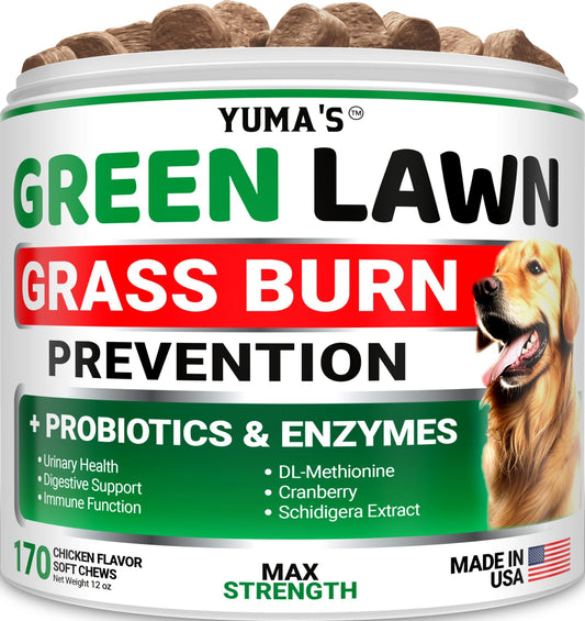 Green Lawn Chews for Dogs   Probiotics and Digestive Enzymes Supplement Gut