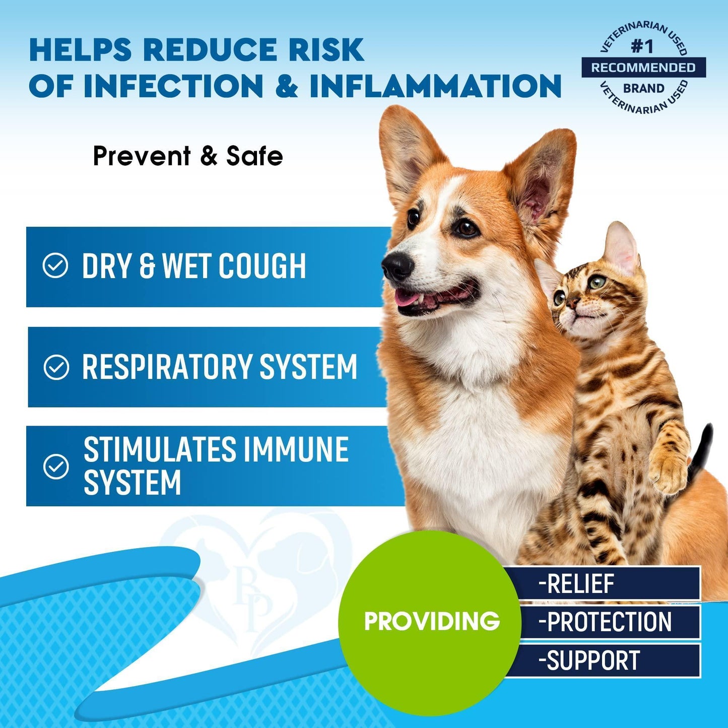 Kennel Cough Treatment & Natural Infection Medicine for Dogs & Cats