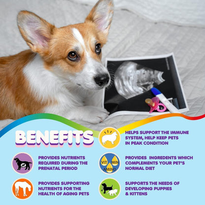 Prenatal Dog Vitamins – Multivitamin for Dogs and Cats with Folic Acid Minerals