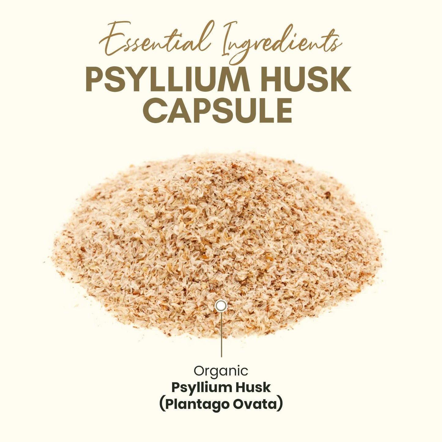 Psyllium Husk Capsules All Natural Fiber Supplement Alternative to Psyllium