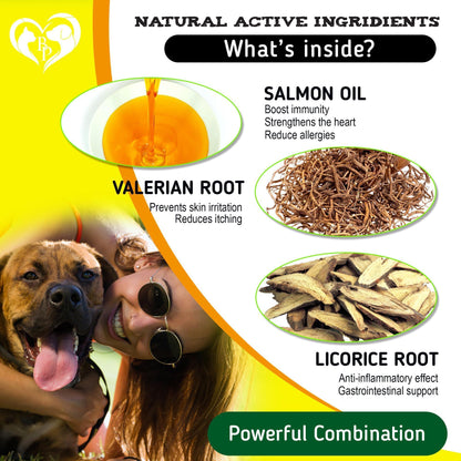 Dog Anti Itch & Allergy Relief Chews   Dry Itchy Skin & Hot Spot Treatment with