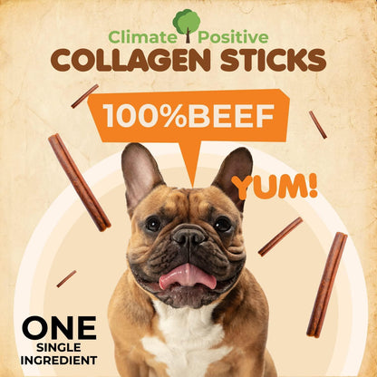 Collagen Sticks 100% Natural Beef Dog Chews 6” Premium Dog Treats for Training